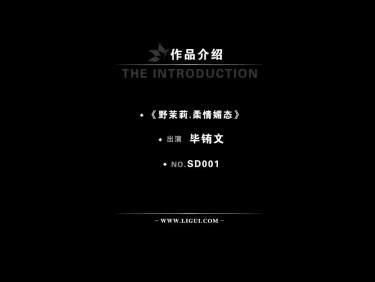 [Ligui丽柜高清HDV]2012.07.06 SD001A 野茉莉－柔情媚态 模特 毕铕文